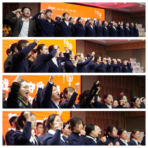 易视界激情的团队风采展示