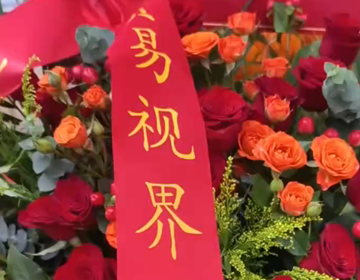 山东易视界新店喜讯